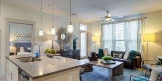 Everly Gallery 5
