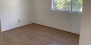 1143 Wilcox Place N Gallery 15