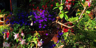 1504 Carmelita St Gallery 3