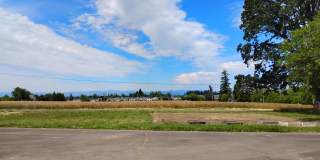 Refurbished home with Basement and large yard Gallery 19