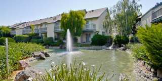 Cute One Bedroom Condo with Central AC and Heat. Cute One Bedroom Condo with Central AC and Heat. Gallery 54