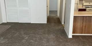 204 Pine Hollow Gallery 8