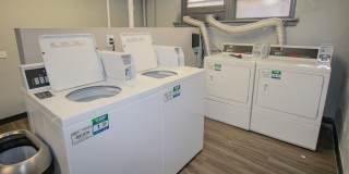 Nathaniel Hawthorne Gallery 11