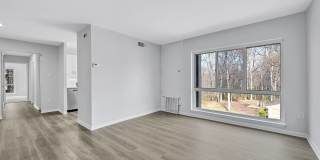 Reston Glade Gallery 5