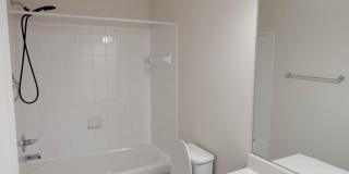 5004 FOREST PINES Drive Gallery 23