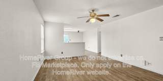 14211 Yellow Warbler Gallery 5