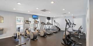 Piccadilly Gallery 22