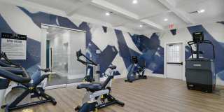 Preston Hollow Gallery 11