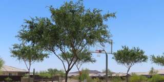 12556 West Cassia Trail Gallery 22