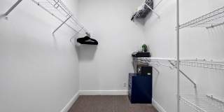 15848 Italian Cypress Way Gallery 20