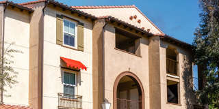 Paseos At Magnolia Luxury Apartment Homes Gallery 62