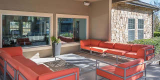 The Palmera Gallery 13