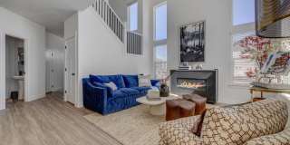 Mt. Rainier Gallery 8