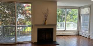 *DREAM LOCATION* 6BR Completely Renovated Duplex Gallery 23