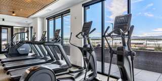 Aura Arts District Gallery 42