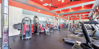 Vista Lake Ned Gallery 56