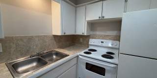 Perle At Mesta Park Gallery 11