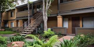 Elan Scripps Terrace Gallery 17