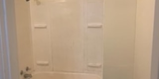 Treetop views in North Avondale Gallery 8