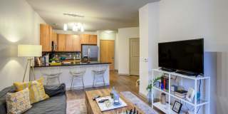 Regatta Sloan’s Lake Gallery 7