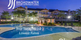 The Broadwater Gallery 27