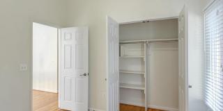 10723 GLOXINIA Gallery 6