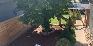 Beautiful, Light-Filled 4 bed, 2 bath North Boulder Home! Gallery 11