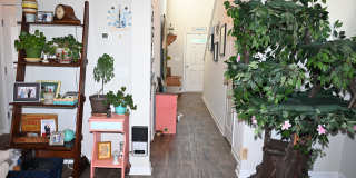 64 Salers Lane Gallery 8