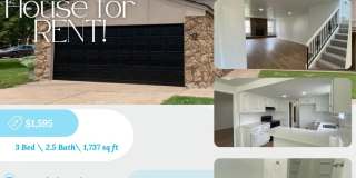 3613 Wynn Circle Gallery 1