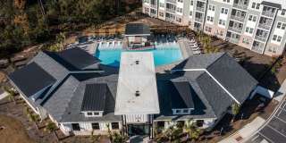 Waterleaf at Salt Creek Gallery 38