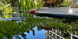 1200 Lakeshore Gallery 15