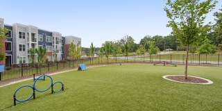 Bluebird on Seventy Gallery 34