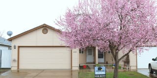 445 Crystal Drive Gallery 1