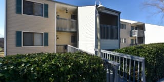 The Palmer Gallery 21