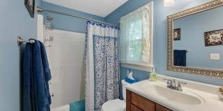 303 Cary Pines Drive Gallery 20