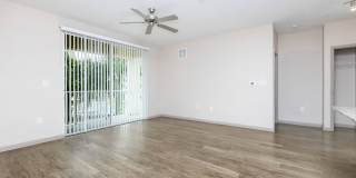 RIZE at Winter Springs Gallery 122