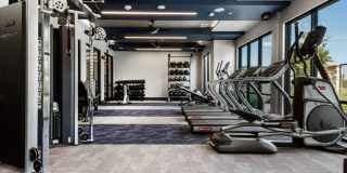 Brightleaf at Lakeline Gallery 54