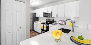 Sabal Palm at Lake Buena Vista Gallery 8