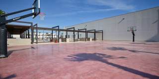 The Tree Apartments Gallery 57