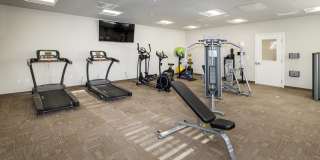 Polaris Peak Gallery 84