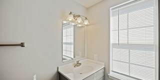 Village of Carrollwood Village of Carrollwood Gallery 5