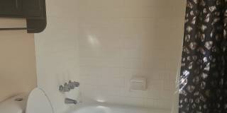 286 Whitetail Circle Gallery 8