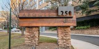 250 Gorge Road Gallery 21