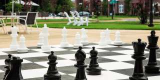 Holly Crest Gallery 43