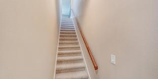 7137 Vilano Lane Gallery 26
