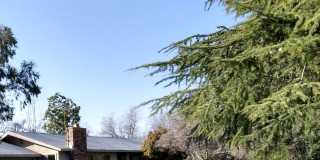 1401 Hamblen Way Gallery 1