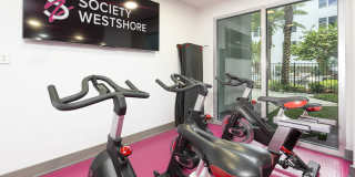 Society Westshore Apartments Gallery 9