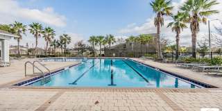 10231 Boggy Moss Dr Gallery 41