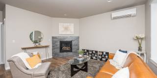 Copperberry Gallery 4