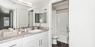 Palms at South Mountain Gallery 9